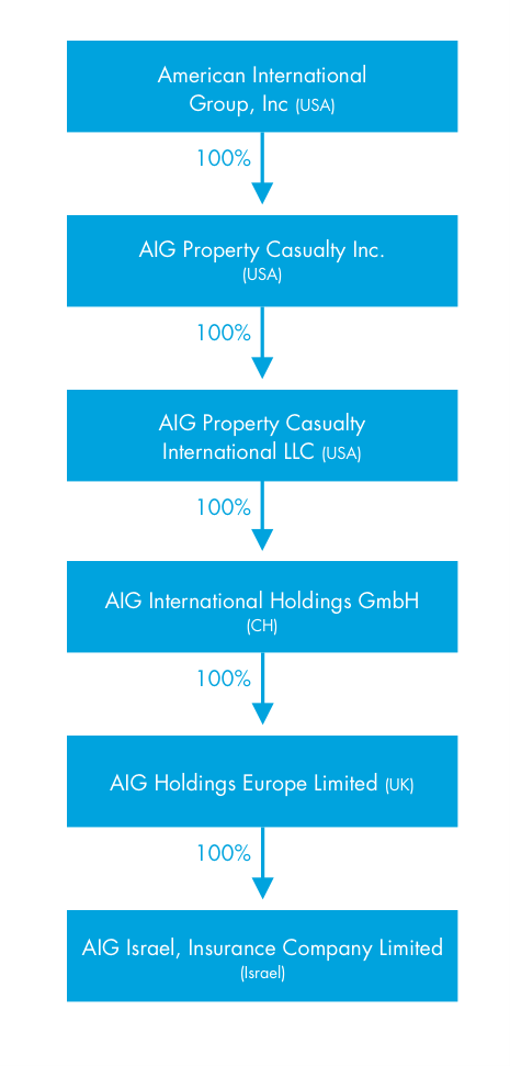 aig-holdings